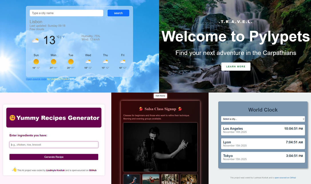 SheCodes portfolio overview